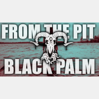 Talking with Black Palm