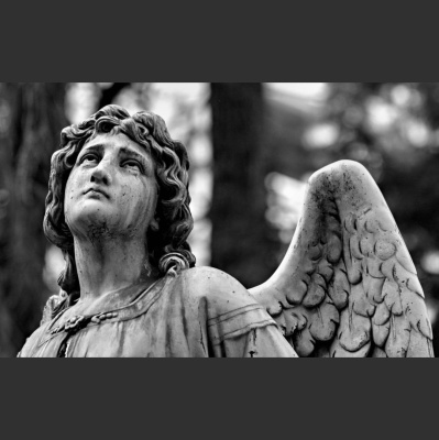 Drum And Bass Electronic Trap Dubstep Music / Edm Radio - Dnb Bass Live : Computers (live) Itunes