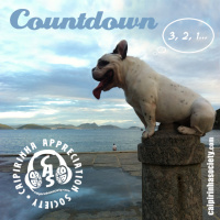 CAS 321 | Countdown