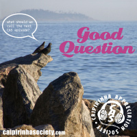 CAS 305 | Good Question