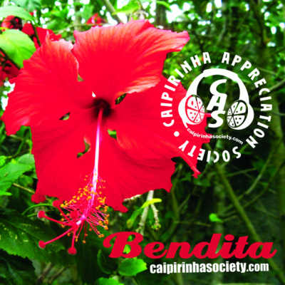 Caipirinha Appreciation Society - Brazil Beyond Cliches