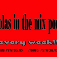 Petitcolas in the mix 36