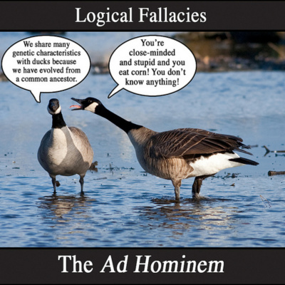 David Halls Podcast