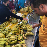 Banana seller in a Brazilian market