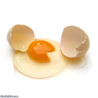 #164 Pacman eating eggs until Guiness calls