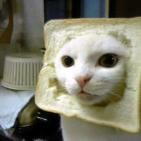 #22 - Bread head and an angry gambler