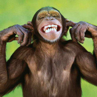 #87 - Predicting Monkeys and January Transfers