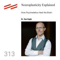 Dr. Dan Engle - Neuroplasticity Explained: How Psychedelics Heal the Brain
