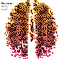 Braincast 102 - Aufmerksamkeit