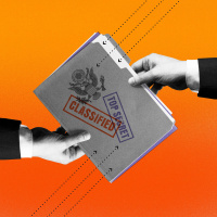 Is Government Transparency Essential in a Democracy?