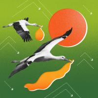 Why are Americans Having Fewer Kids?