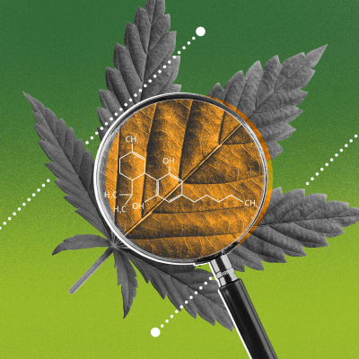 Top Of Mind With Julie Rose