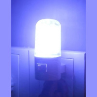 OA691: Donald Trump and the Magical Classified Nightlight