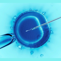 Embryos Are People, My Friend