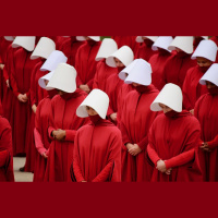 OA701: Foxs Defamation F-Tussle and the Texas Broodmare Tax