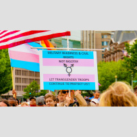 OA247: Status of the Trans Ban