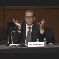 Steve Vladecks Taxonomy of Court Reform