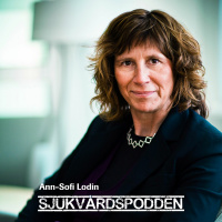 #11 Ann-Sofi Lodin - Jakten på den jämlika vården