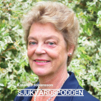 #12 Katarina Johansson - Jakten på den jämlika vården