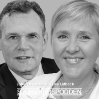 #3 Johan Assarsson  Lise Lidbäck - Kraftsamla för en jämlik vård