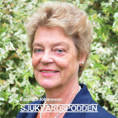 Sjukvårdspodden Jakten På Den Jämlika Vården