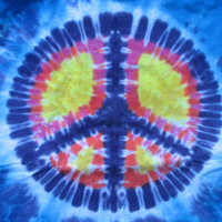 Episode 21: Anarcho Communists, Communes, and Dirty Hippies