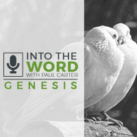 Genesis 43