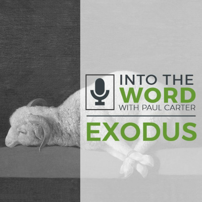 Into The Word With Paul Carter