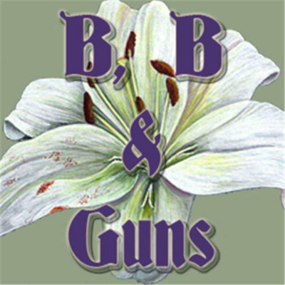 B B  Guns