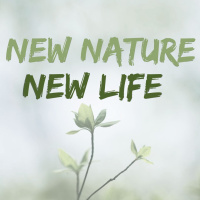New Nature, New Life | Part 2 | Flesh vs. Spirit