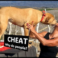 CHEATING…How To Stop It Hurting You...with Rowie McEvoy