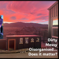 Dirty, Messy, Disorganised…Does it matter