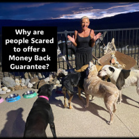 Money Back Guarantee…Why most businesses don’t have one