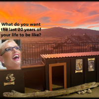 Your last 20 years…What do you want them to be like...with Rowie McEvoy