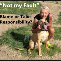 “Not My Fault”…Blame, Justify or take responsibility