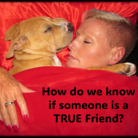 Friends…How do we know if someone is a true friend