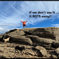 Why does the Human Body and Brain Rot Away...with Rowie McEvoy