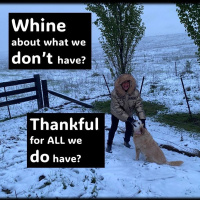 SUCCESS…does It Come From Whining Or Gratitude ...with Rowie McEvoy