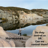 Hormones…Can we control them...with Rowie McEvoy