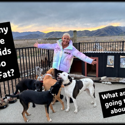 Max Health And Fitness Recordings