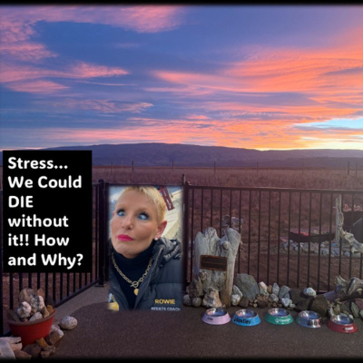 Max Health And Fitness Recordings