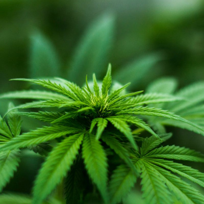 This Is Vanderbilt Business