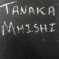 GBA 347 Tanaka Mhishi