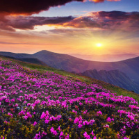 मैथिली भाषा - द दू सड़क.mp3