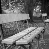 #30 - Ensamhet - samtal med Benedicte Land Forsén