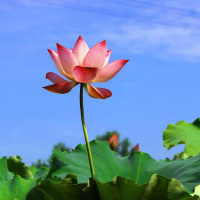 Att våga ta sig själv på allvar