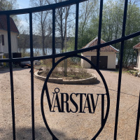 Jung, Vårstavi och Poul Bjerre, Sveriges bortglömda psykologipionjär