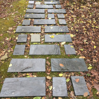 Om Jung, I Ching  synkronicitet