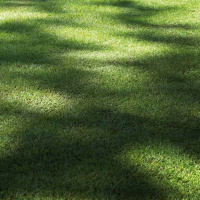 Om att hantera sin skugga