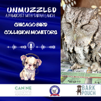 Unmuzzled: A Pawdcast with Chicago Bird Collision Monitors